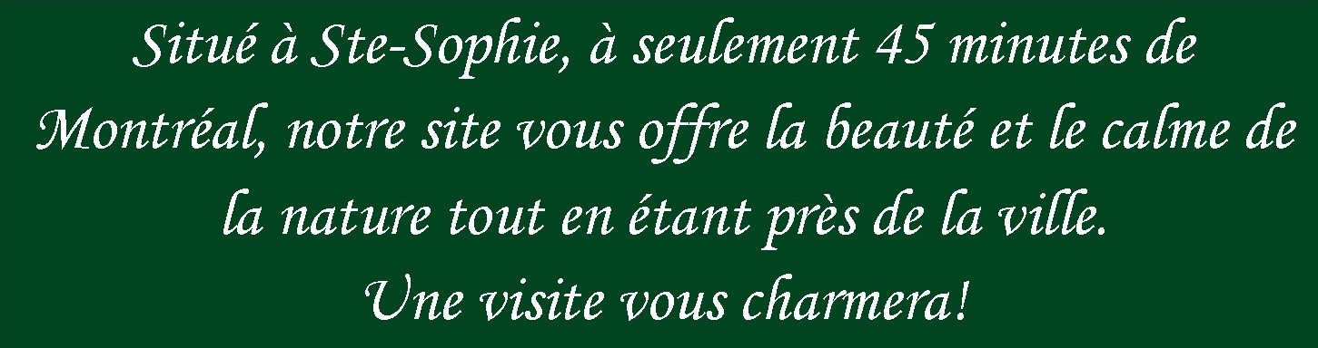 page acceuil